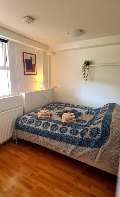 Lovely One Bedroom Apartment In Hafnarfjörður Dış mekan fotoğraf